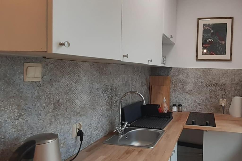 Lemuria Apartament Szkolna Centrum Legnica Extérieur photo