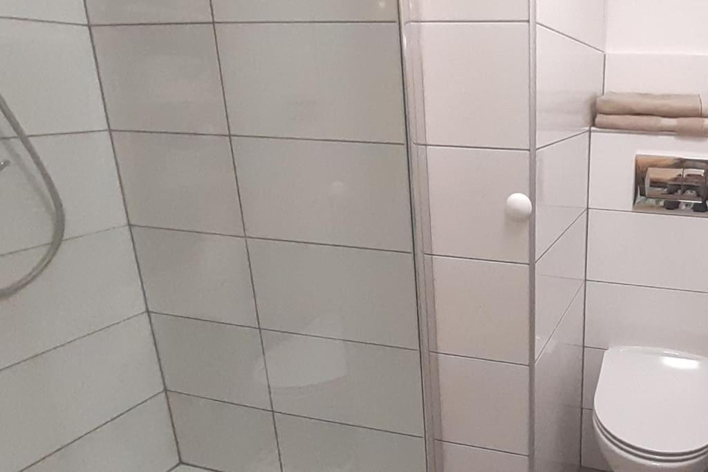 Lemuria Apartament Szkolna Centrum Legnica Extérieur photo